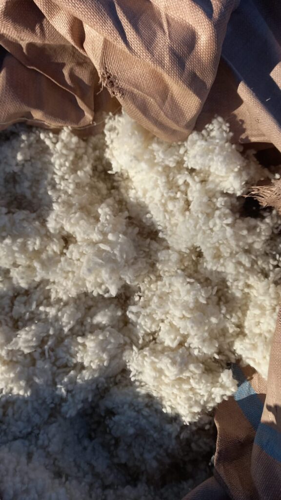 Ywool wool mat NZ used in landscaping and horticulture – 100% natural New Zealand wool